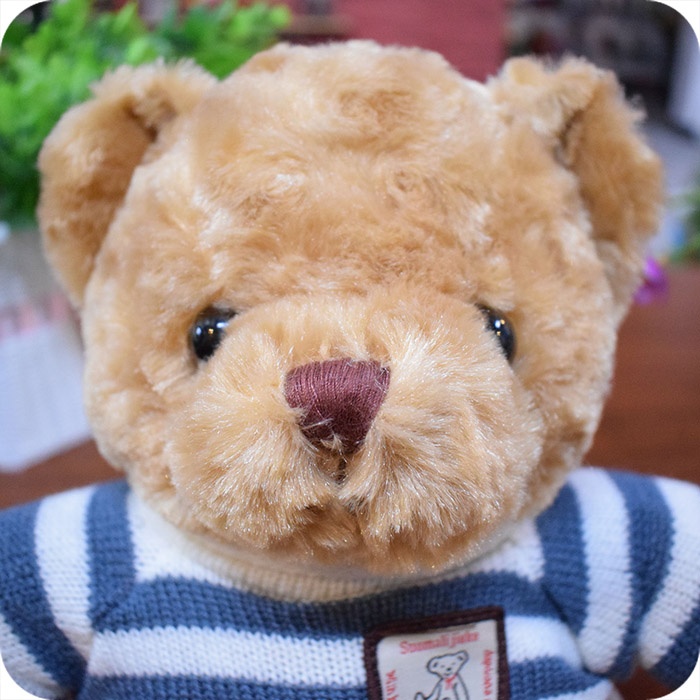Sitting Teddy Bear Soft Toy with Sweater, 14 inches