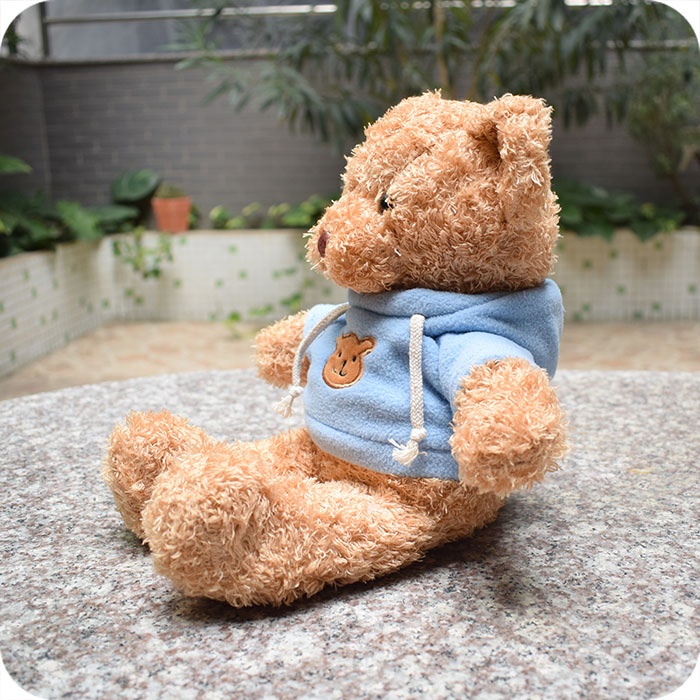 Stuffed Animal Plush Teddy Bear with Hoodie 9 inches