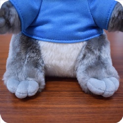 Vivid Koala Plush Animal Toy, 8 inches